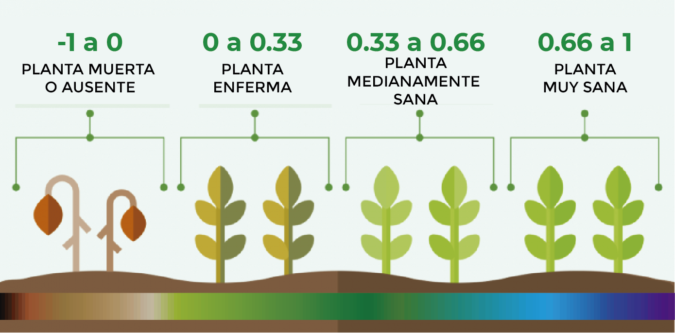 referencias NDVI OK-02