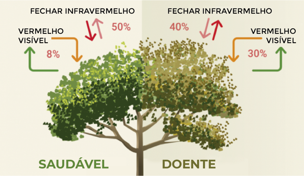 PT-Explica-NDVI-09