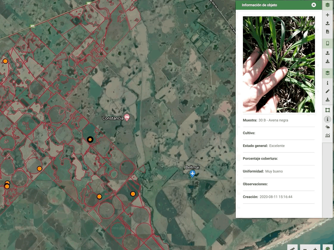 recorrida_ES